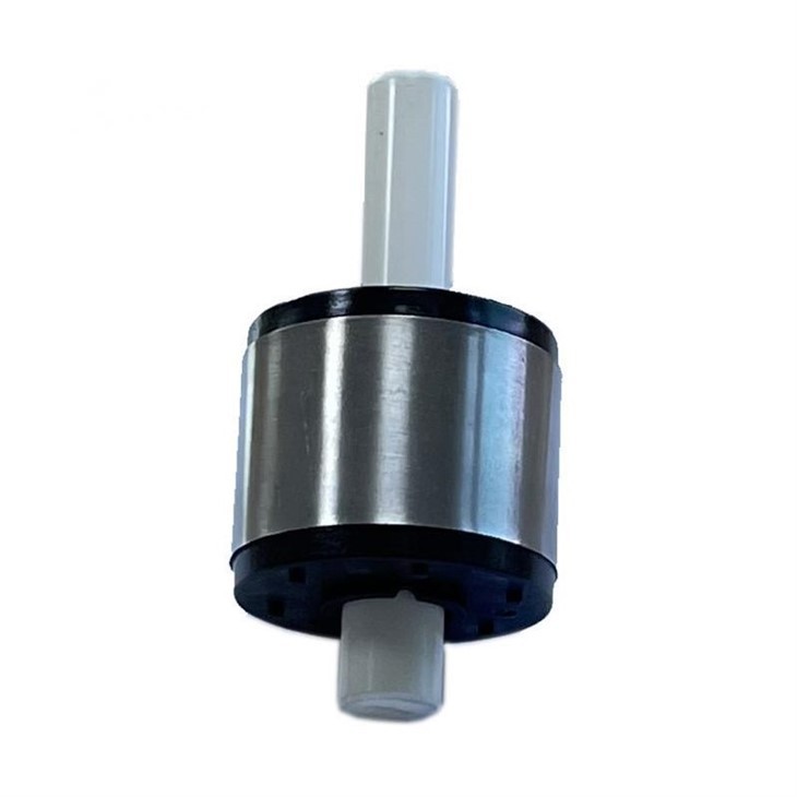 Booster Ponp Motè Rotor Magnet